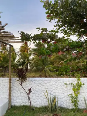 Um jardim no exterior de Casa Praiana Moitas