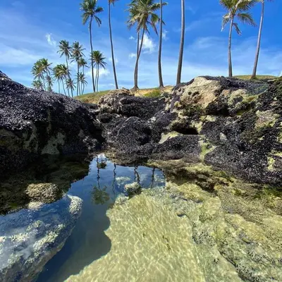 Paisagem natural perto da casa de hóspedes