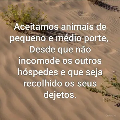 Animais no apartamento ou nos arredores