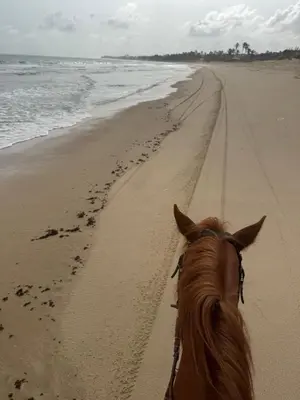Uma praia em ou perto do chalé