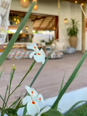 Um jardim no exterior de Casa Boa onda - Icaraizinho