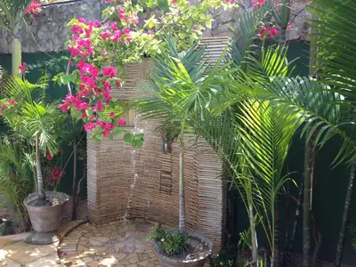 Um jardim no exterior de Pousada Maresias do Cumbuco