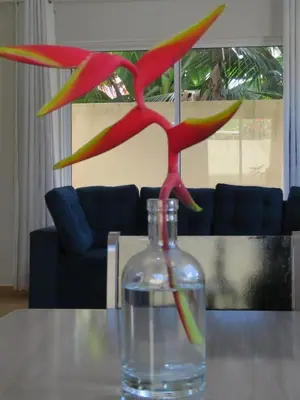Bebidas em Casa Mar e Dunas