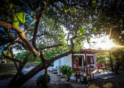 Um jardim no exterior de Sítio Boralá
