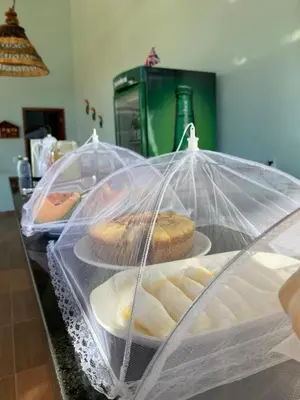 Refeições no apartamento ou nas proximidades