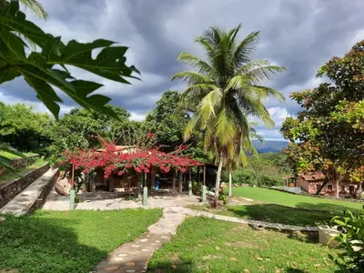 Um jardim no exterior de Sítio Vale da Serra