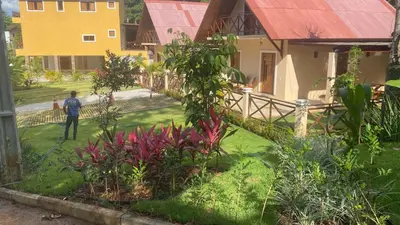 Um jardim no exterior de Chalé Suíço
