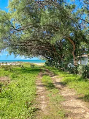 Paisagem natural perto da casa de férias