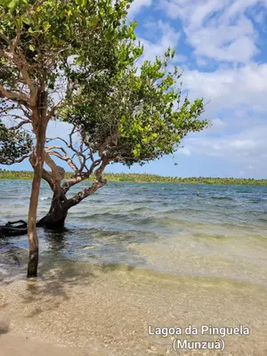 Paisagem natural perto da casa de férias
